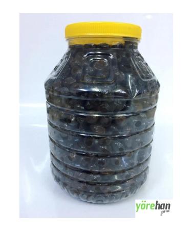 Starbucks Gingerbread Flavor Syrup 375 ml - 2023 New Year Special Megashopp