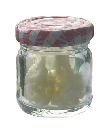 Kefiri Caucasian Kefir Yeast