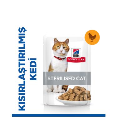 WRITER Orti Ramshead Chickpeas 5 Kg. x 6 Pieces