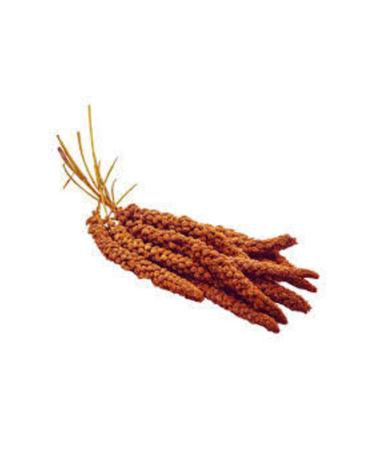 Homemade Yomini Probiotic Yogurt Starter Kit 6 Pack