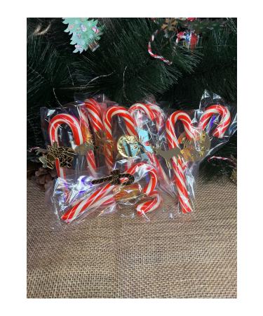 MISSWELL BLUE CHINDER - Buy Online on GoSupps.com