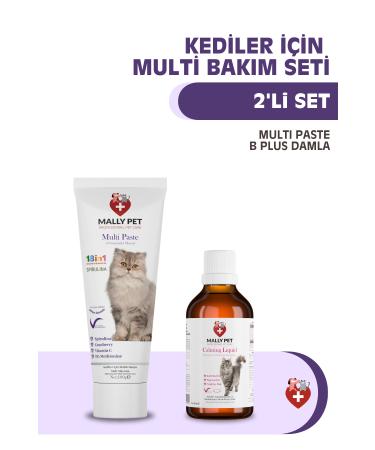 Mixmey Red Fruit Bar Series | Natural Red Fruit Flavors - 20 Pieces - Buy Online on GoSupps.com
