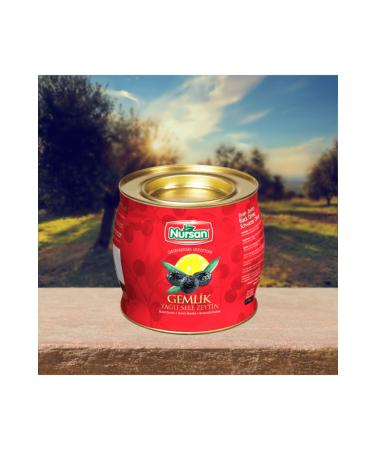 Nursan Food Extra Oily Gemlik Saddle 2 kg