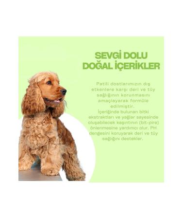 Paw Lab For Pet Anti-Itching Dog Shampoo 250 ml