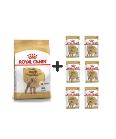 Royal Canin Poodle Adult Dog Food 3 Kg + 6 Pieces Wet Food