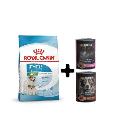 Royal Canin Mini Starter Dry Dog Food 4 Kg + 2 Prochoice Wet Food