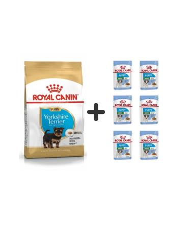 Royal Canin Yorkshire Terrier Puppy Food 1.5 Kg + 6 Pieces Wet Food