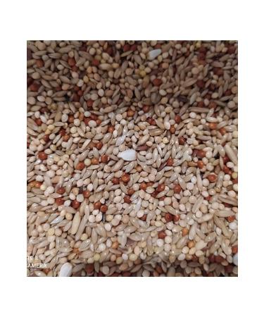 abcsf Mamaist Luxury Budgie Food 1 Kg