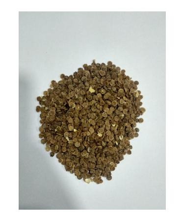 Citlembik SALTY LUMP NEVSEHIR PUMPKIN SEEDS 1000GR