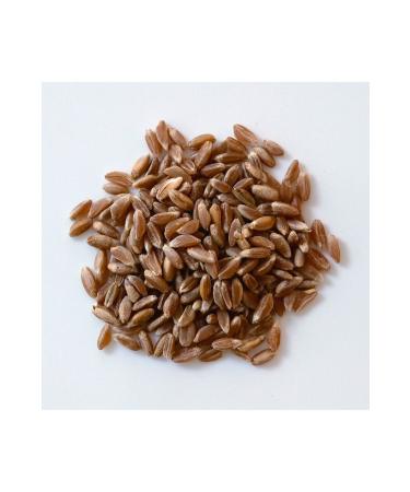 Cappadocia Kav lca Flour 6 X 1 Kg - Buy Online on GoSupps.com
