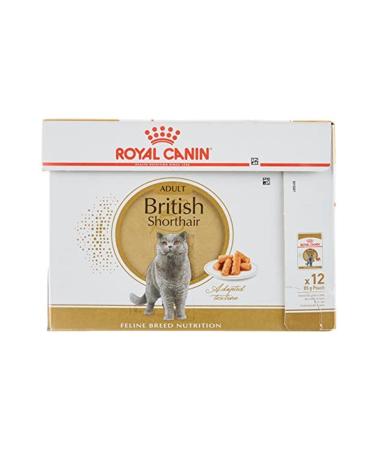 Royal Canin British Shorthair Canned Food 85 Gr X 12 Pieces