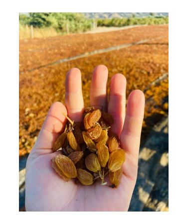 Rocat Ro Cat Kitten Chicken Kitten Canned Food 400 Gr X 12 Pieces