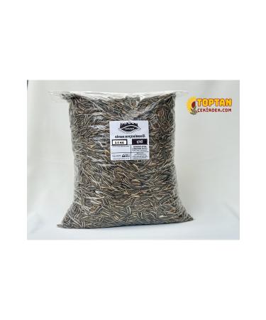 Royal Canin Persian Cat Canned Food 85 gr 12 Pieces