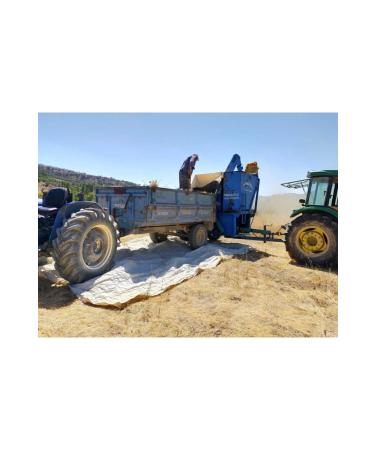 mut incisi olive & olive oil Chickpeas 5 Kg Local Yayla Chickpeas 5 Kg - Buy Online on GoSupps.com