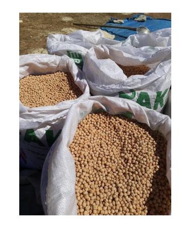 mut incisi olive & olive oil Chickpeas 5 Kg Local Yayla Chickpeas 5 Kg - Buy Online on GoSupps.com