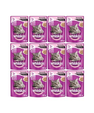 teknotrust Pouch Adult Cat Canned Food with Salmon 100 Gr X 12 Pieces