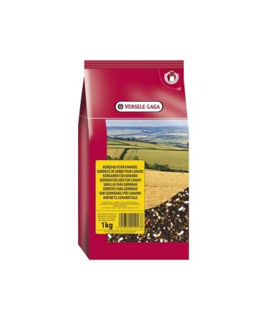 ASTERA 1 Kg Catnip Leaves Dried 1000 Gr