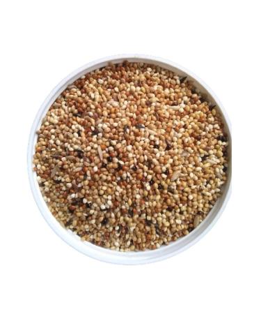 Vivid Mixed Canary Food 2 Kg - Buy Online on GoSupps.com