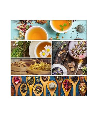 18 White Teas from Nature Plain
