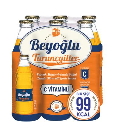 Beyo lu Orange Flavored Soda 24x250 ml