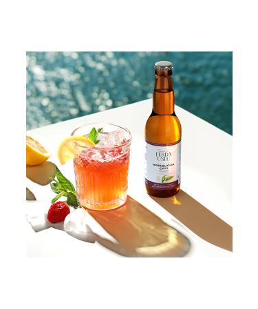 Herbalife Lemon Flavored Concentrated Herbal Tea 2 Pieces 51 gr - Buy Online on GoSupps.com