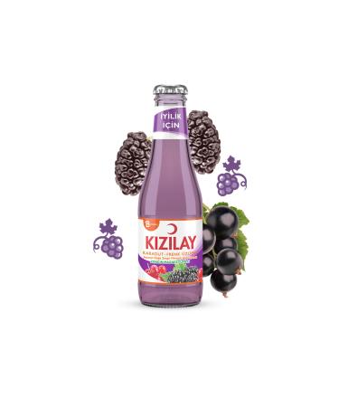 Red Crescent Black Mulberry and Blackcurrant Flavored Mineral Water 200 Ml X 24 Pcs