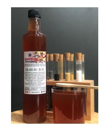 Samsun Herbal Gilaburu Water 500 ml