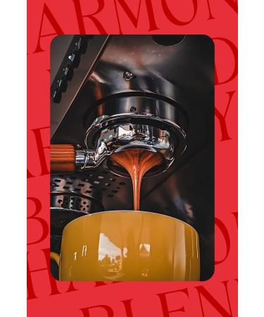 BRAH M BEY Dibek Coffee with Mastic Gum