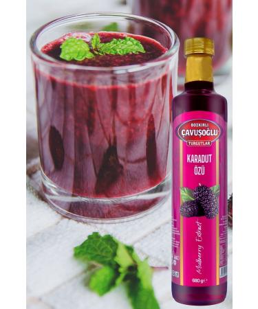 Bozk rl avu o lu STD Natural and Pure Black Mulberry Extract 680g Classic - Buy Online on GoSupps.com