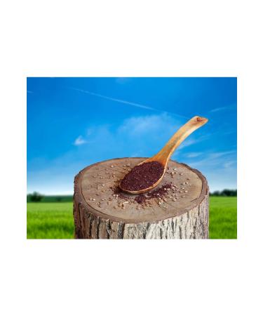 KAVLAK NUTS Sumac Ground (special) 500 Gr