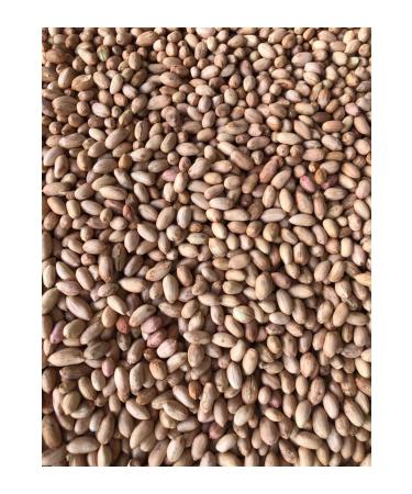 kb koycegiz local Ekincik Table Olive 2000 G