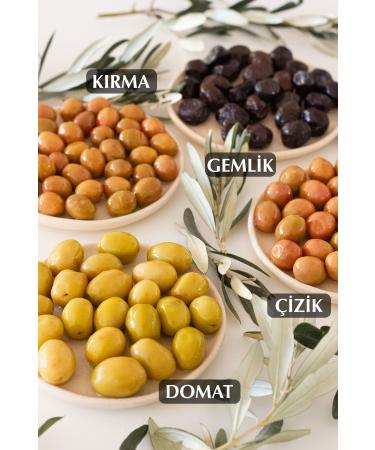 kozoliv Tomato Variety Whole Green Olives (Cocktail) 640 gr Glass Jar - Buy Online on GoSupps.com