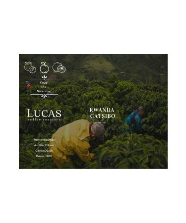 Lotus Biscoff Crispy Caramelized Biscuit Paste 380 Gr