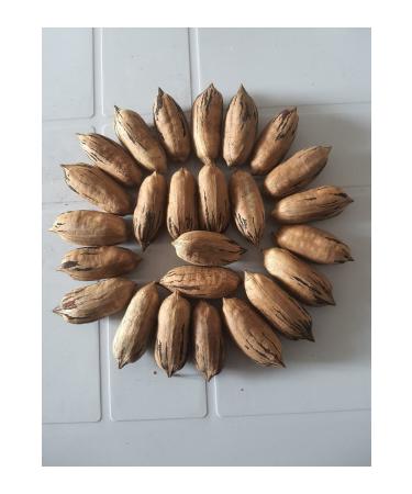 The essence of Anatolia organic production Organic Aronia Jam 250gr