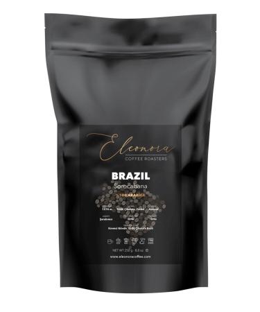 TicaretDeniz Green Tea Bulk Tea Brew & Smell & Flavor & Health 550 Gr