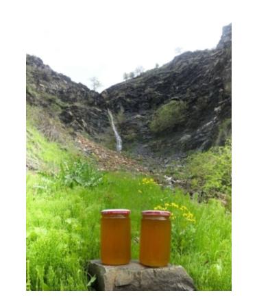 Taste of My Region Erzurum Kars Natural Plateau Flower Honey 850 gr