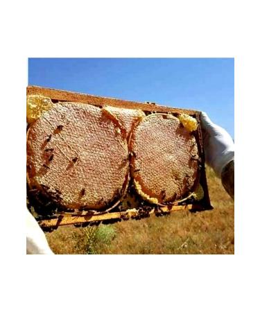 G lbal Bing l Karakovan Honey 1500 Grams - Buy Online on GoSupps.com