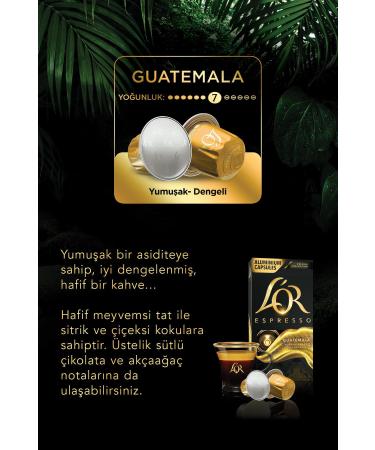L'OR Espresso Origin Guatemala Nespresso Compatible Aluminum Coffee Capsules 30 Pieces (10 X 3 PACKS) - Buy Online on GoSupps.com