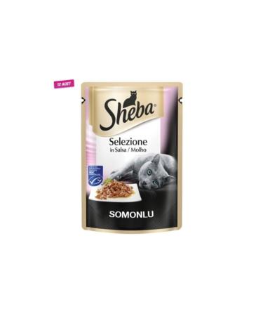 SHEBA 12 Pieces - Selection Sauce Salmon Pouch Adult Cat Canned Food 85 Gr