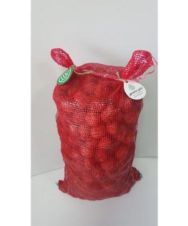 Nestle Salep 24*17 Gr