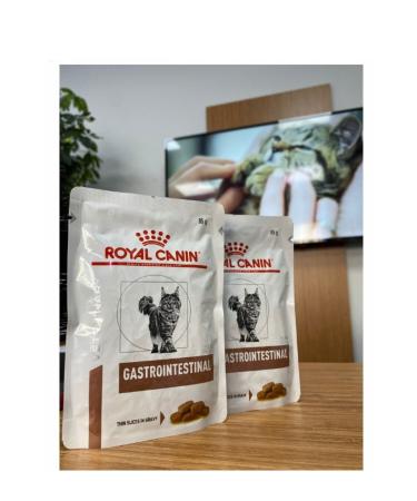 Royal Canin Gastrointestinal Cat Pouch - 5 Liters
