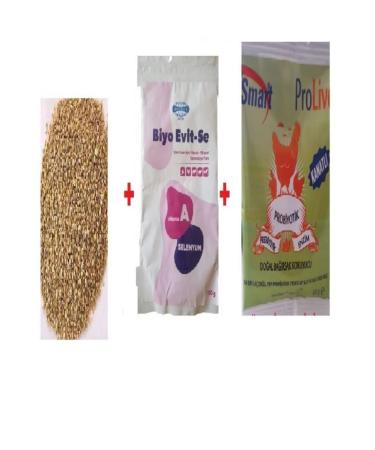 Smart Chicken Development Kit Chicken Development Feed 5 Kg Evitse Prolive 50 Gr
