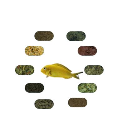 Tropheus Ilangi Yellow Special Fish Food Package 50 Gr/piece (7 TYPES)