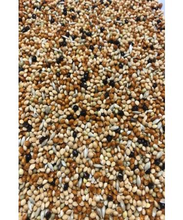 Bestpet Jelly Pouch Lamb Adult Cat Canned Food 85 Gr 24 Pieces