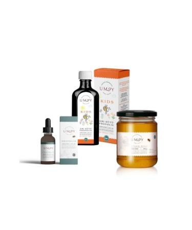 Erkexin Honey Ginseng Paste 240 gr 2 Pieces - Buy Online on GoSupps.com