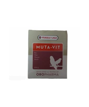 MY Mastic Jam 370 cc