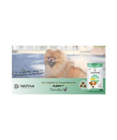 VetPrive Vet Prive Mini and Small Breed Puppy Food with Chicken 3 Kg - Buy Online on GoSupps.com