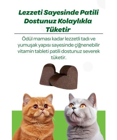 Vet's Plus Hairball Chewable Tablet 60's (MALT AND QIONA HAIRBALL PREVENTIVE) - Buy Online on GoSupps.com