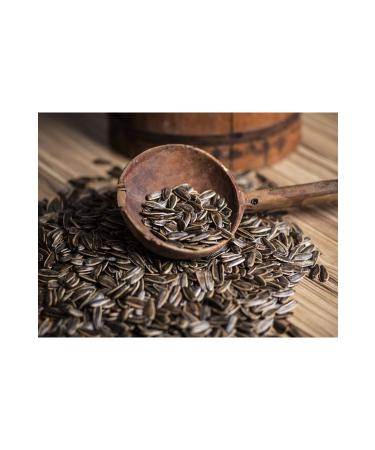 TicaretDeniz Roasted Unsalted Black Sunflower Seeds Dakota Large Size Sieve Top neg l Local 950 Gr