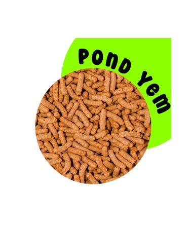 Aquarium Lighted Fish Food and Aquarium Japanese Fish Food Black Wood Aquarium - Buy Online on GoSupps.com